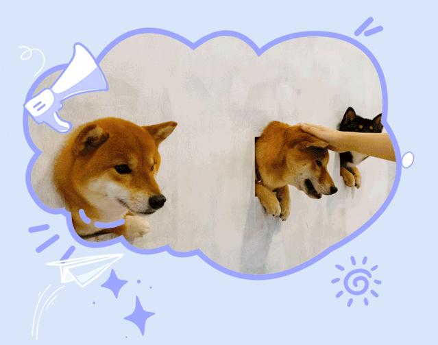 19.9包邮毛绒羊驼,羊驼9.9元秒杀直播