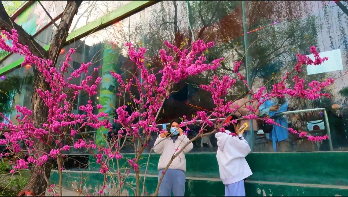 西安莲湖公园要门票吗,西安莲湖公园历史