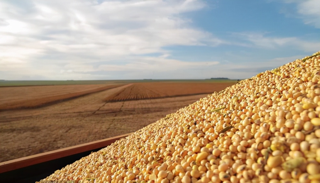 美国人贫穷为什么会胖,美国人为什么越吃越胖