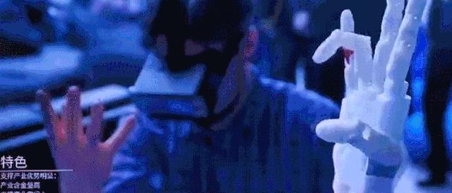 浦东金色中环最新规划,浦东金色中环