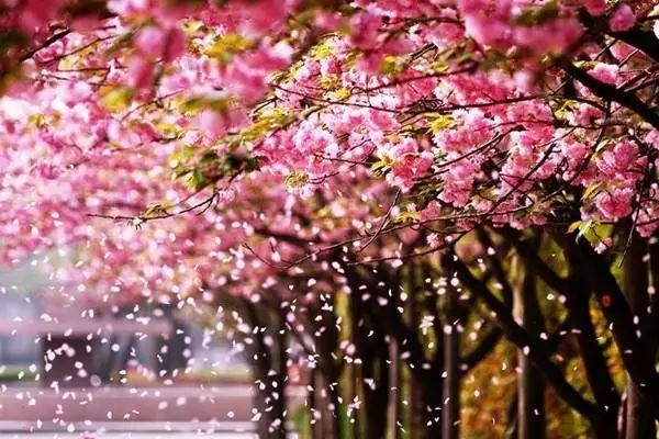 四川藏着一个静谧古城,四川被忽略的古城