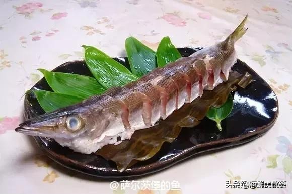 32种经典寿司做法视频,寿司常用的鱼
