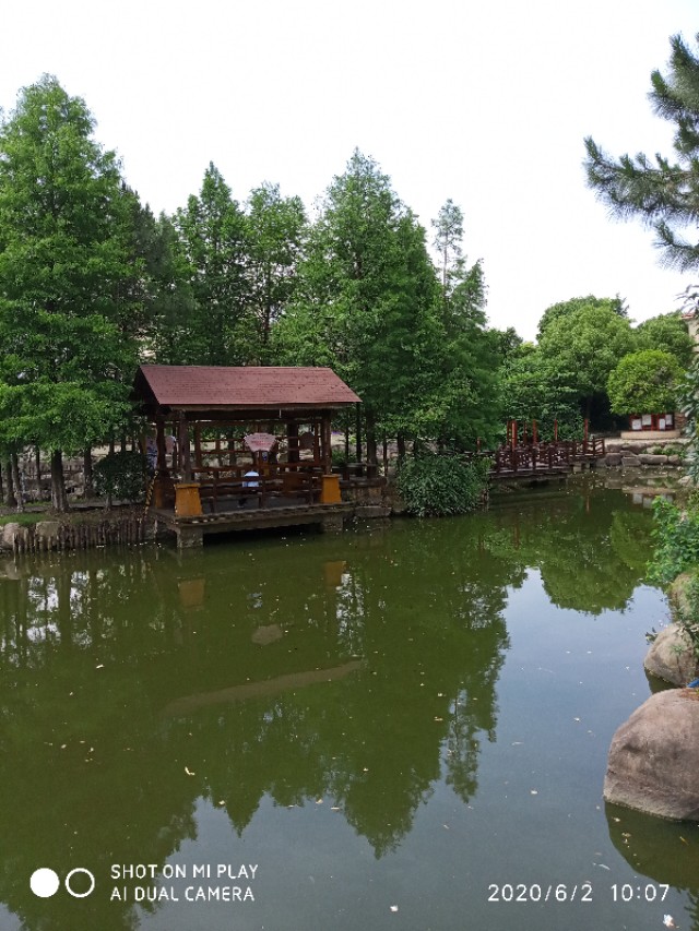 芒种种出新希望,芒种和幸福播种