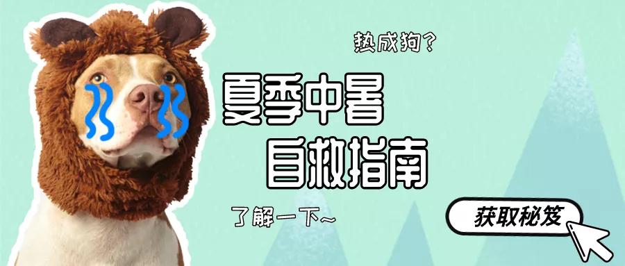 中暑急救的方法和步骤宣传单,热浪袭来注意防暑