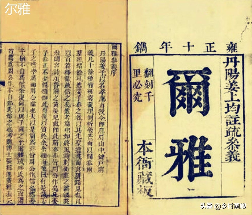 古时候真的有龙和蛟吗,解密古代真有龙么