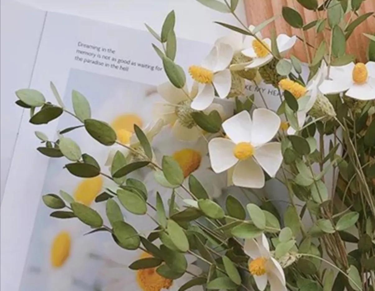 智商低情商低的话怎么办,智商低情商低没有一技之长