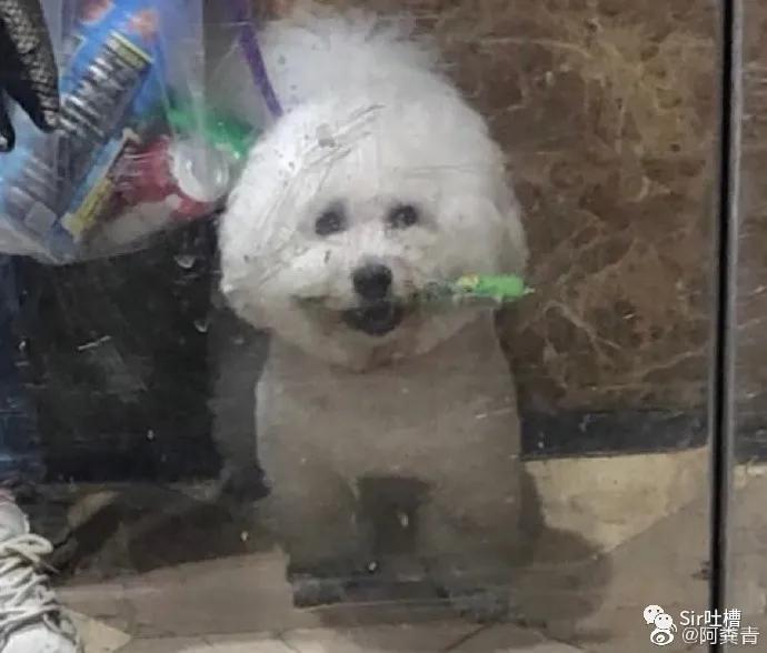 对象偷看你的手机怎么办,对象偷看自己手机怎么办