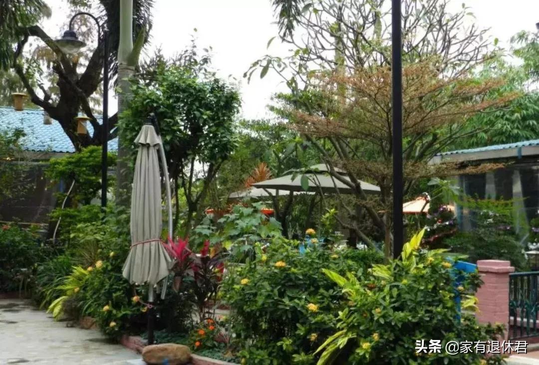 佛山50km徒步全攻略,佛山徒步美食攻略