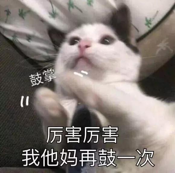 华为的鲲鹏920是什么芯片,华为的鲲鹏处理器怎么样