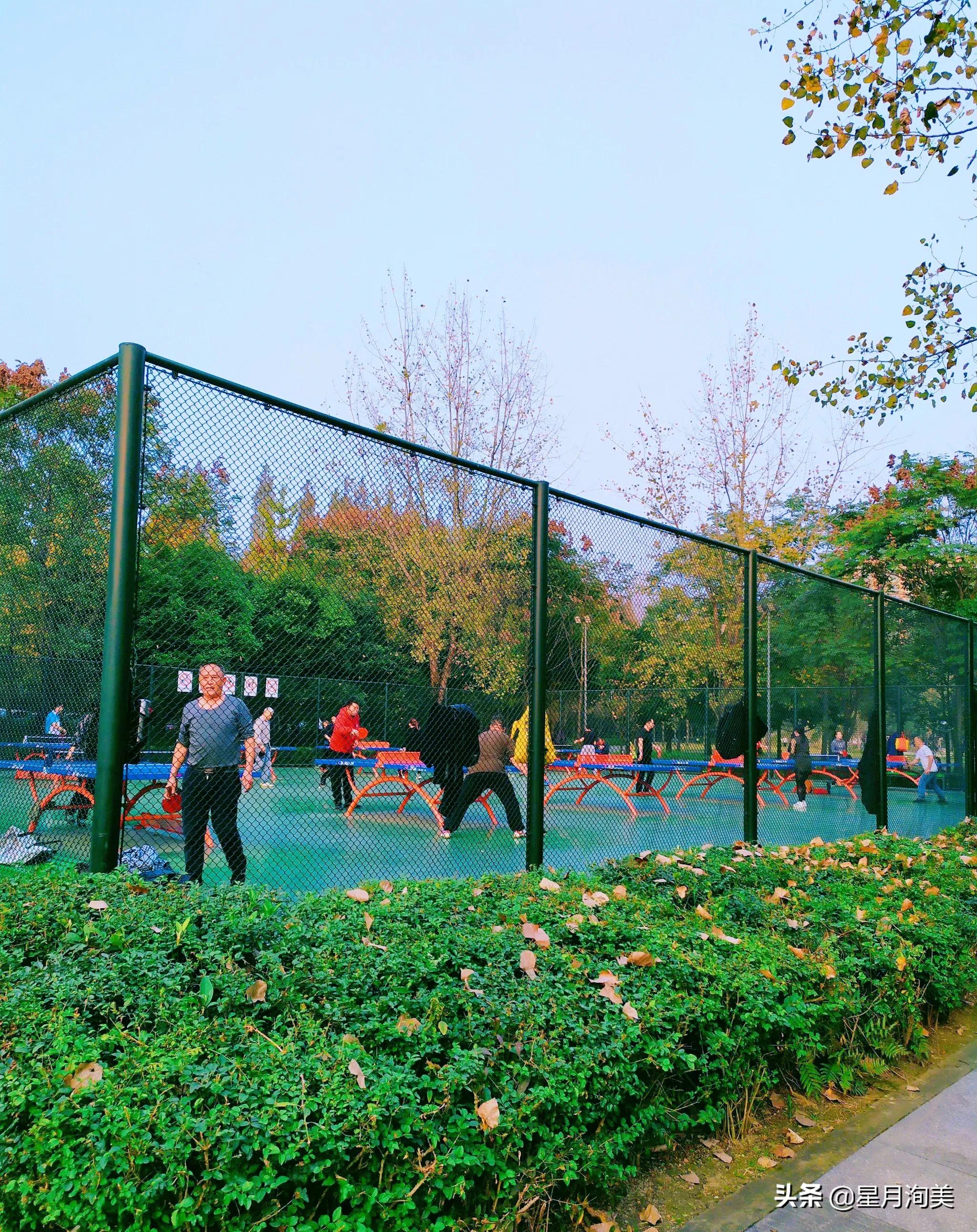 成都小众打卡地点推荐,成都小众但值得去的地方