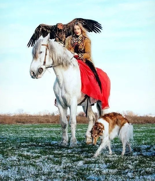 俄罗斯猎狼犬是什么,俄罗斯猎狼犬深棕色