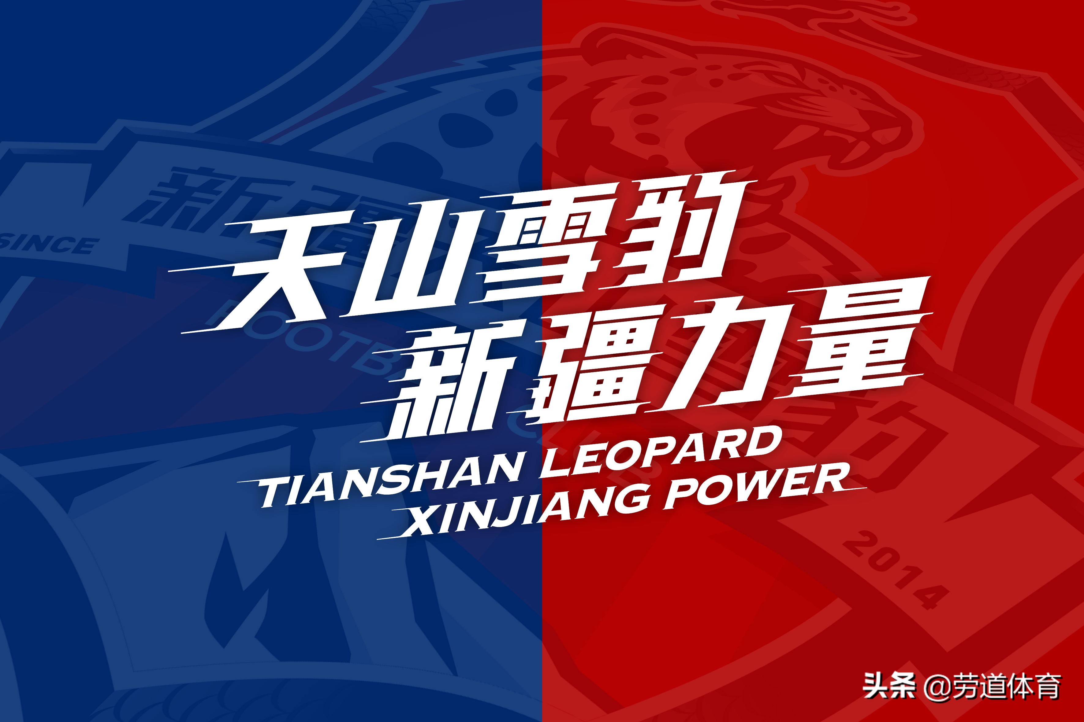 新疆天山雪豹以前的队徽,新疆天山雪豹队徽图片