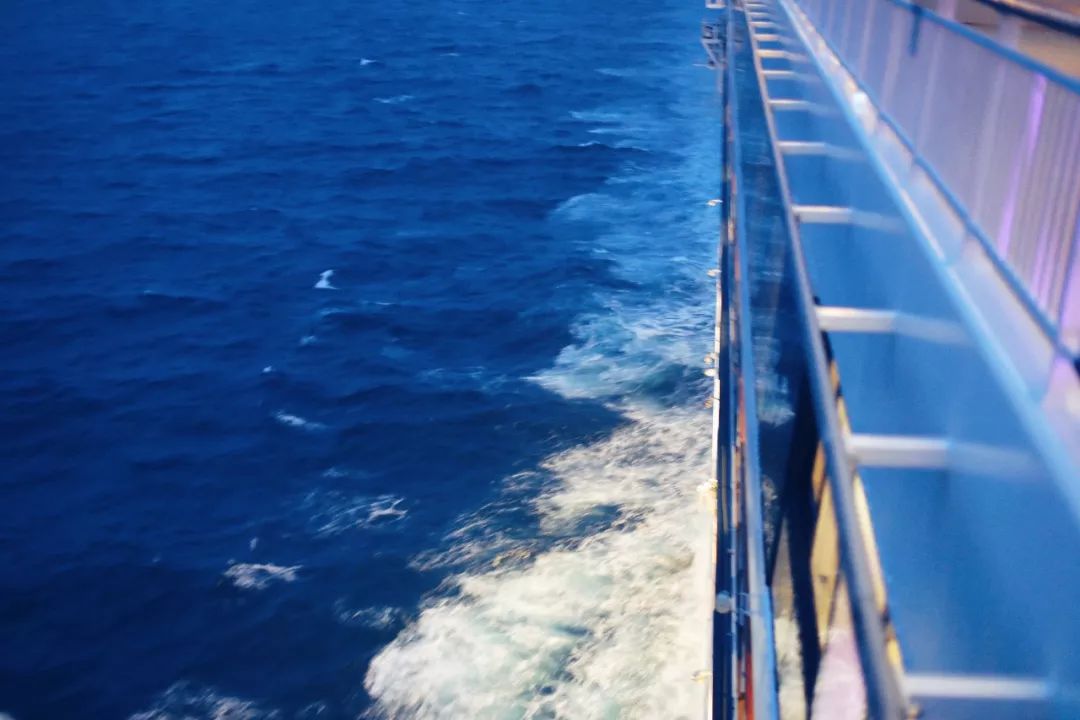 带父母豪华游轮环球旅行,带着父母们出游