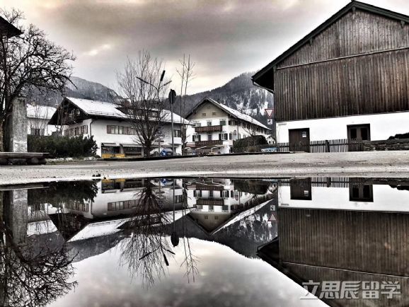 德国留学本科什么专业,德国本科预科留学费用