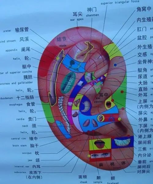 麦粒肿好了又患腮腺炎,我是得了啥绝症?