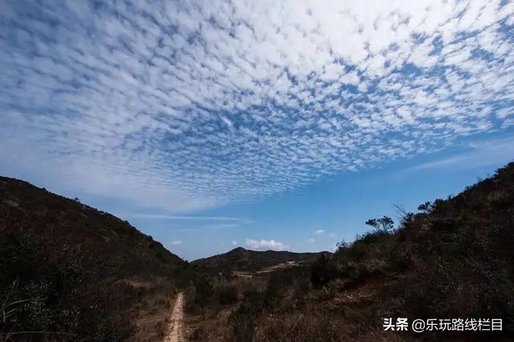 清明周末去哪玩？青田这个神仙山村必须打卡