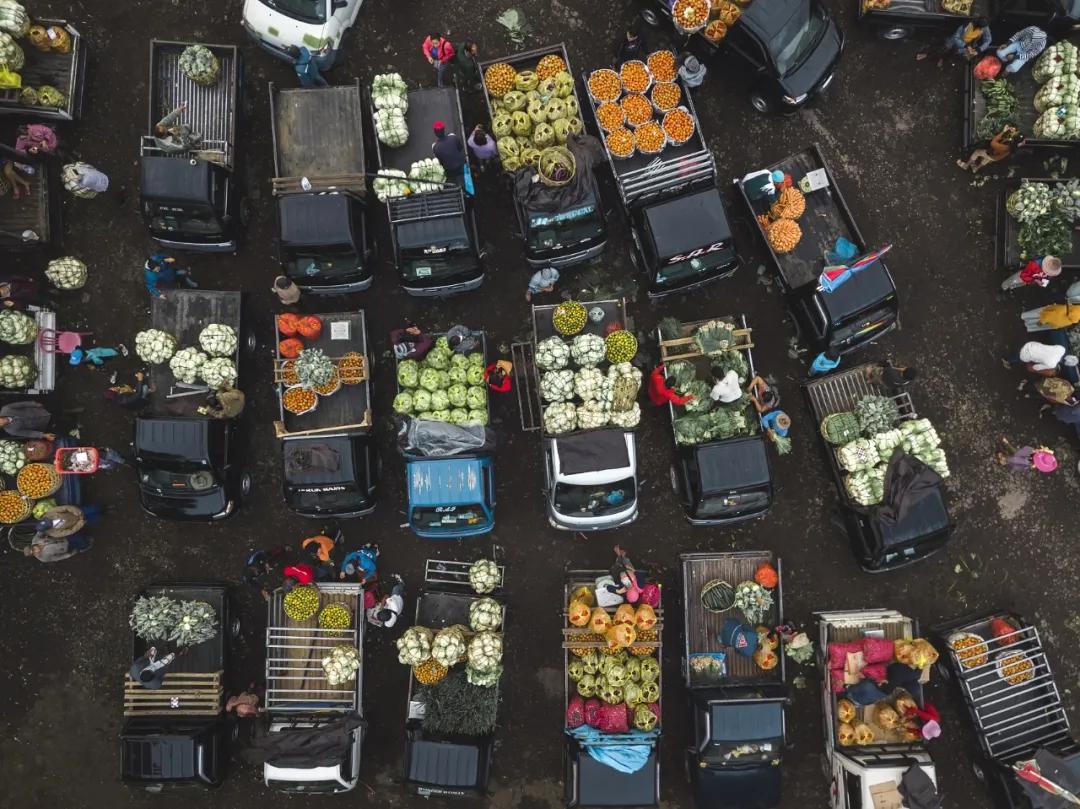 拼多多的创业日记,拼多多种植业