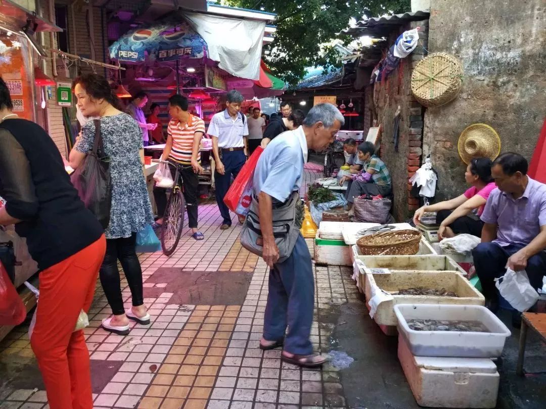 再见了相互嫌弃的老同学,再见了大别山原唱简谱