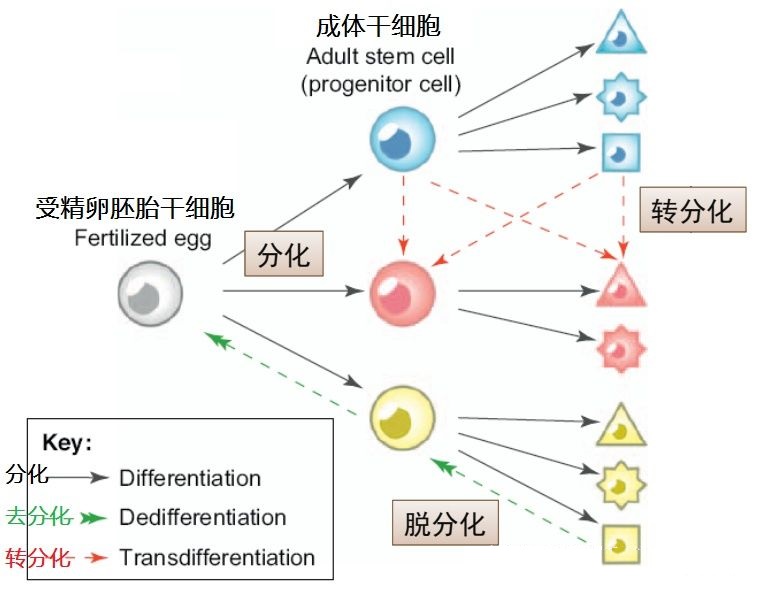 科学家发现的神秘恐怖生物,科学家发现的恐怖生物