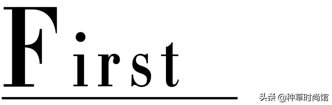 今秋必穿连衣裙,金秋时尚裙子