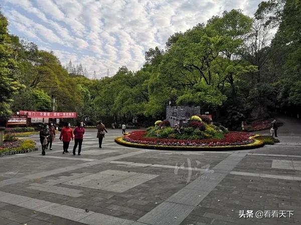 泸州四季花海开放了吗现在,泸州3月赏花胜地心花怒放在哪