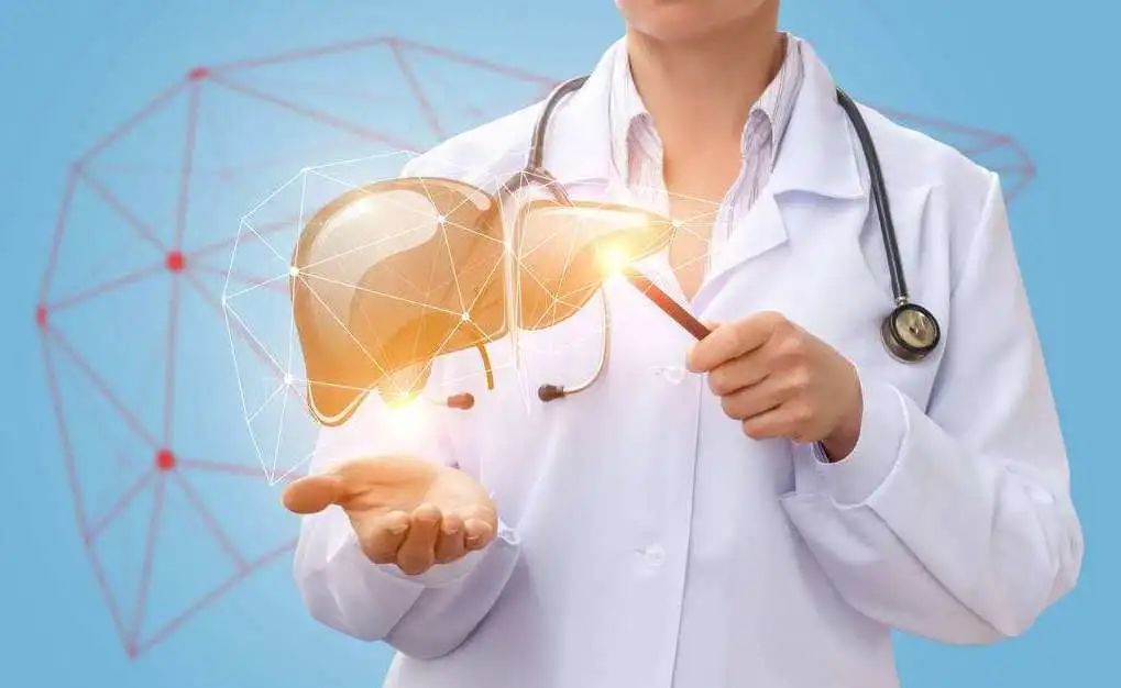 中医肝病专家陆禹舟,陆禹舟教授