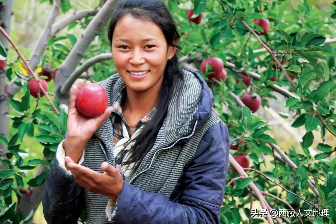 8次深入喜马拉雅，著名藏学家朱塞佩·杜齐的阿里探险之旅