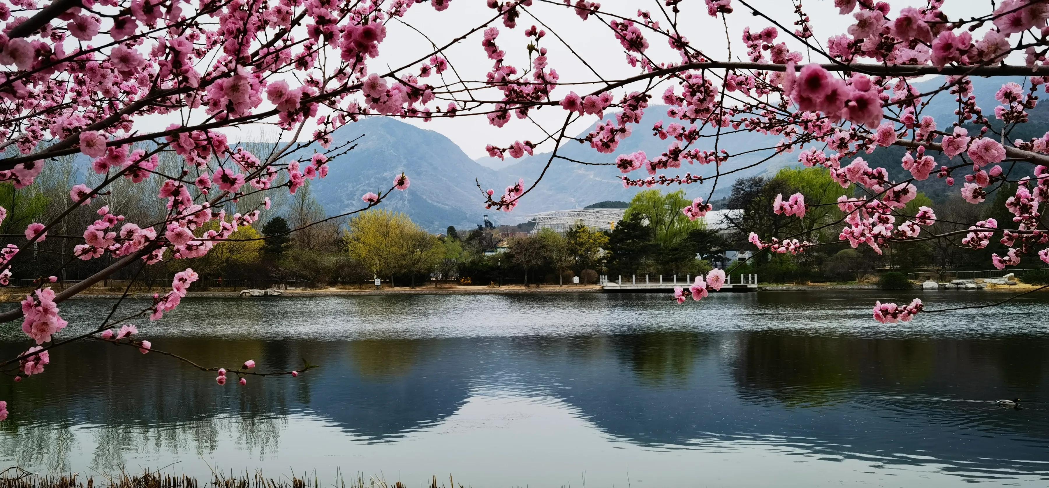 手机摄影手册圈友作品选第5期,手拍世界摄影交流平台