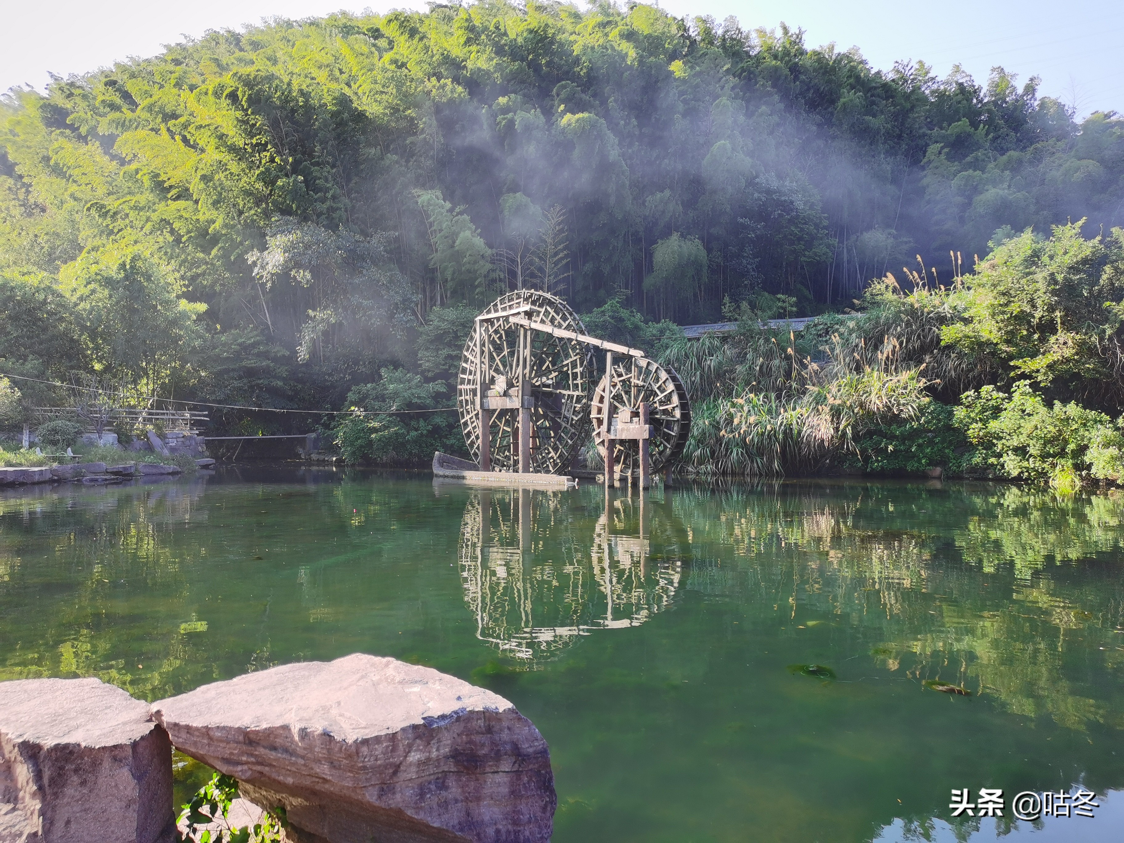 九龙湖风景区猴岛票价多少一张,宁波九龙湖旅游度假区猴岛官方