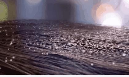 毛囊洗澡真的能洗干净吗,你知道毛囊是怎么洗澡的吗