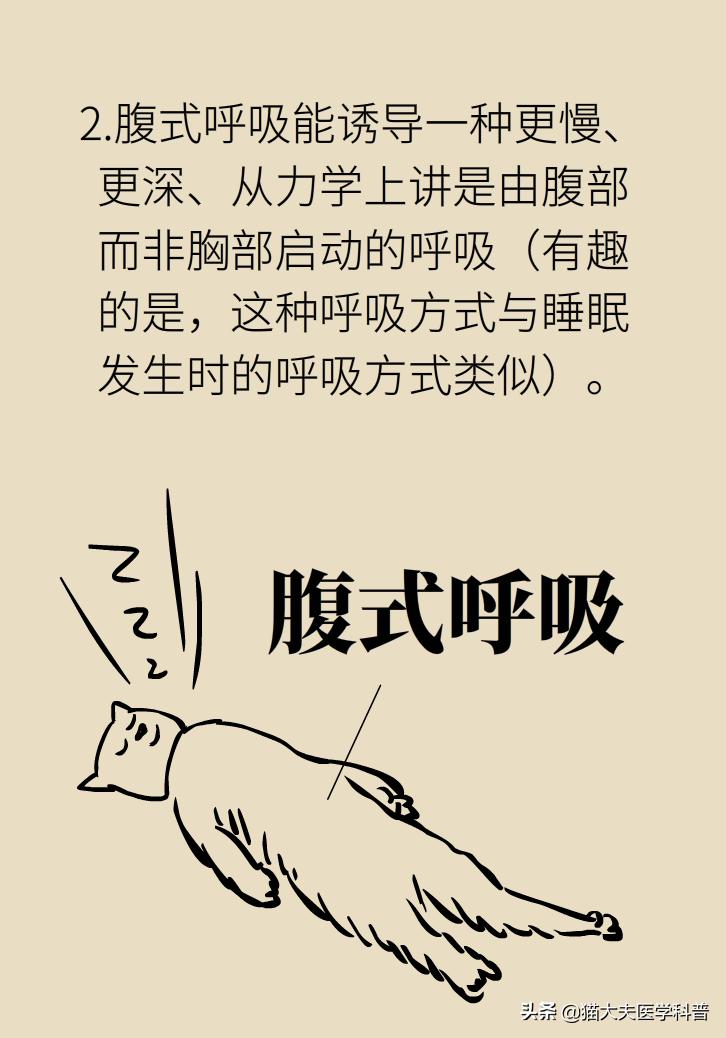 治疗失眠为什么不直接用安定,治疗失眠靠的不是药