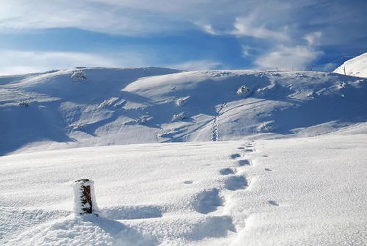 零基础学摄影从入门到精通100集,摄影入门从哪里学起比较好