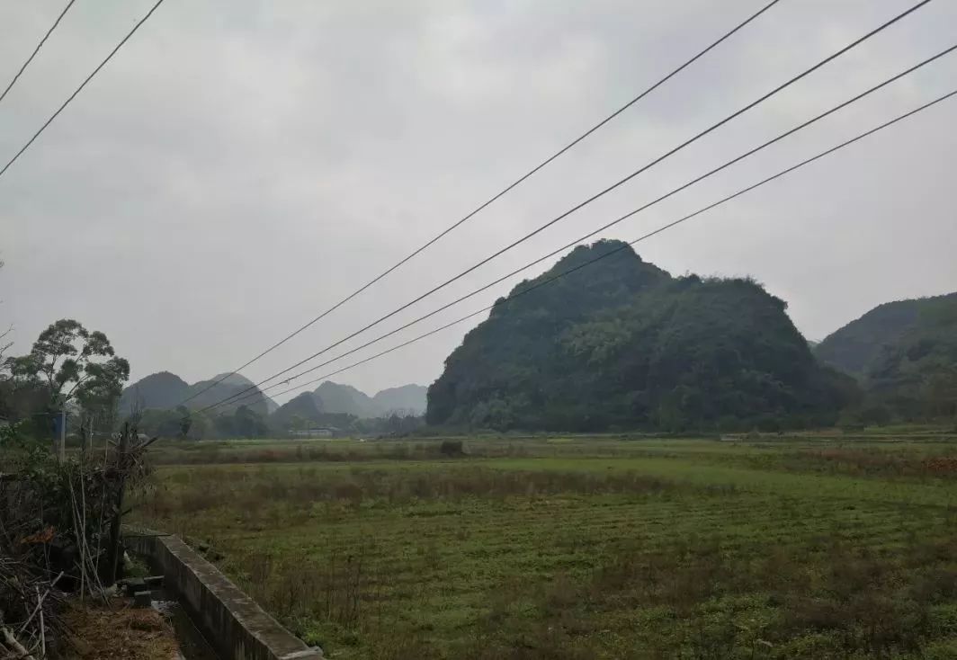 璐哄窞鏄ヨ妭鐗规畩椋庝織,璐哄窞瀹朵埂椋庝織鏂囧寲