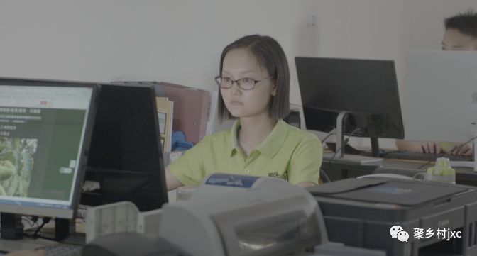 重庆江津石蟆青果,江津石蟆青果