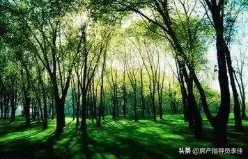 新机场空港新区最新消息永清,大兴国际机场距离永清多远