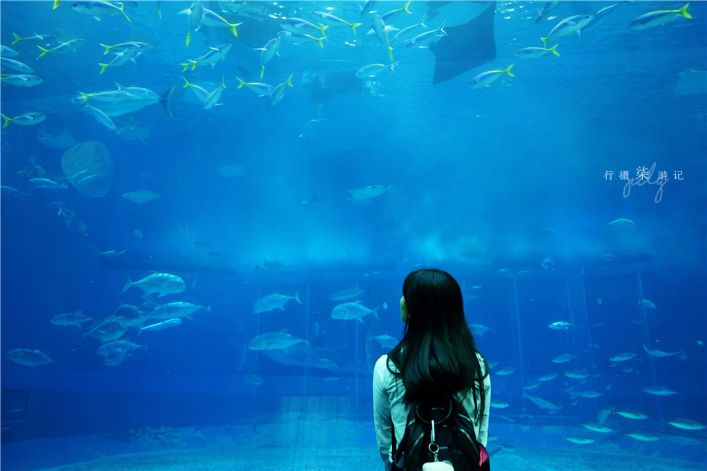 不只爱情演唱会,不只爱情粤语高潮版