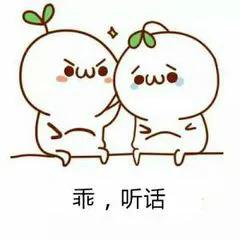 得了肾病还能吃蜂蜜吗,得了肾病还能饮酒吗