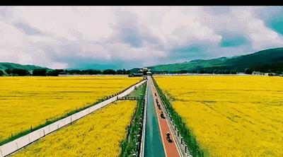 征信多久恢复,政信提前兑付