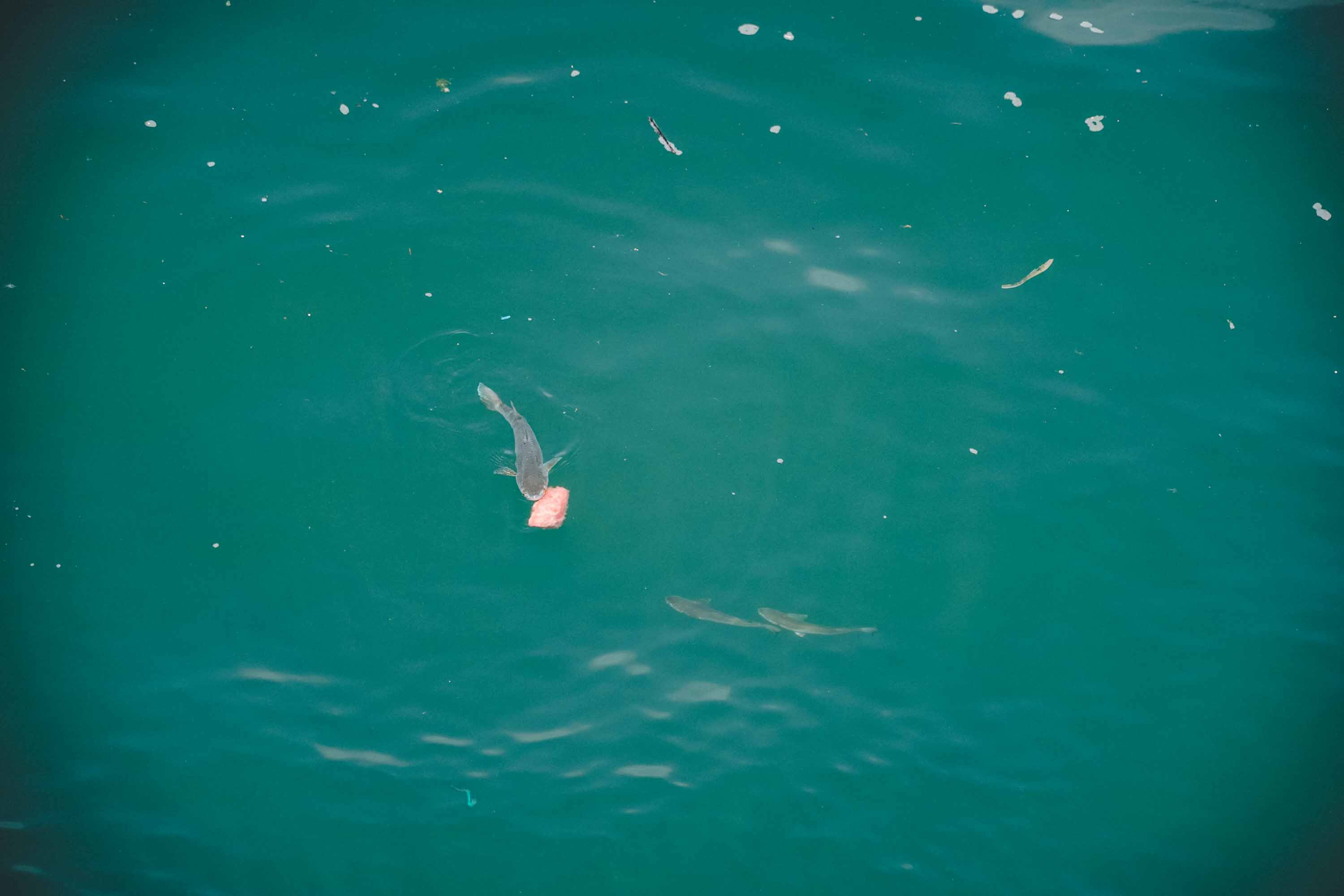 「兼修内外」整备一台08年的宝马730LI，重览那年登陆的绝尘风华