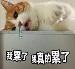 广州代购都去哪里,广州家具代购