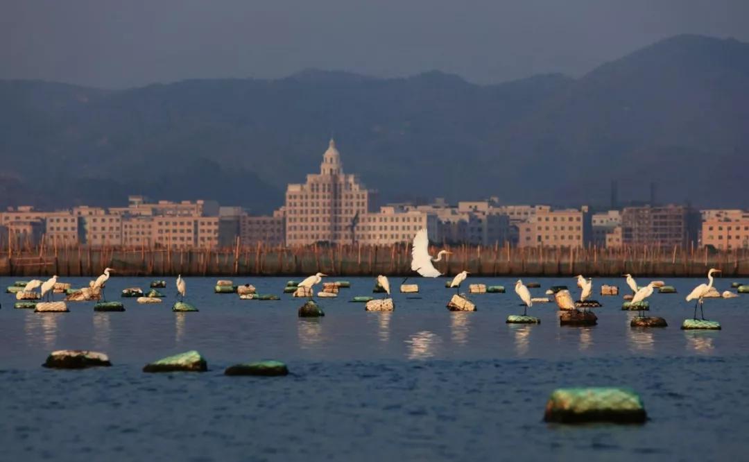 深圳自驾游十大免费景点推荐,重庆到深圳自驾游景点