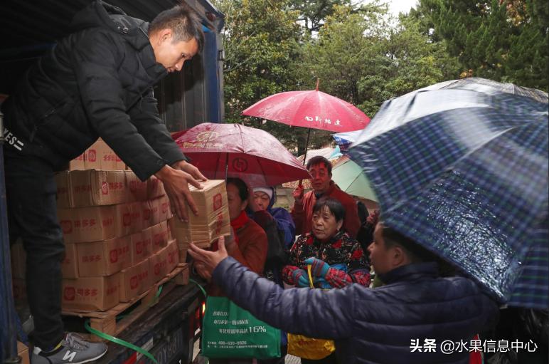 拼多多卖大蒜农产品,拼多多农业农村补贴