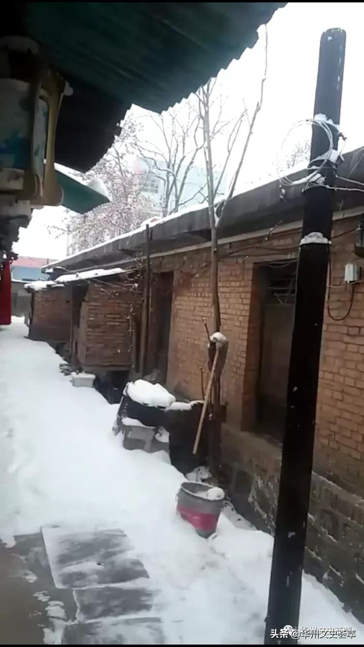 娴峰娓稿瓙鎬濅埂鎯呯粨,娴峰娓稿瓙涓浗