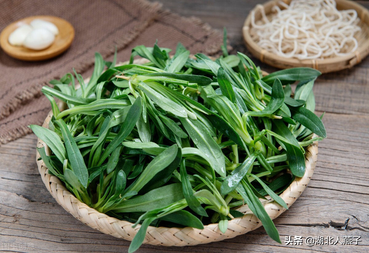 各种可以吃的野菜图片大全及名称 (100种野菜图片大全和名称和吃法)