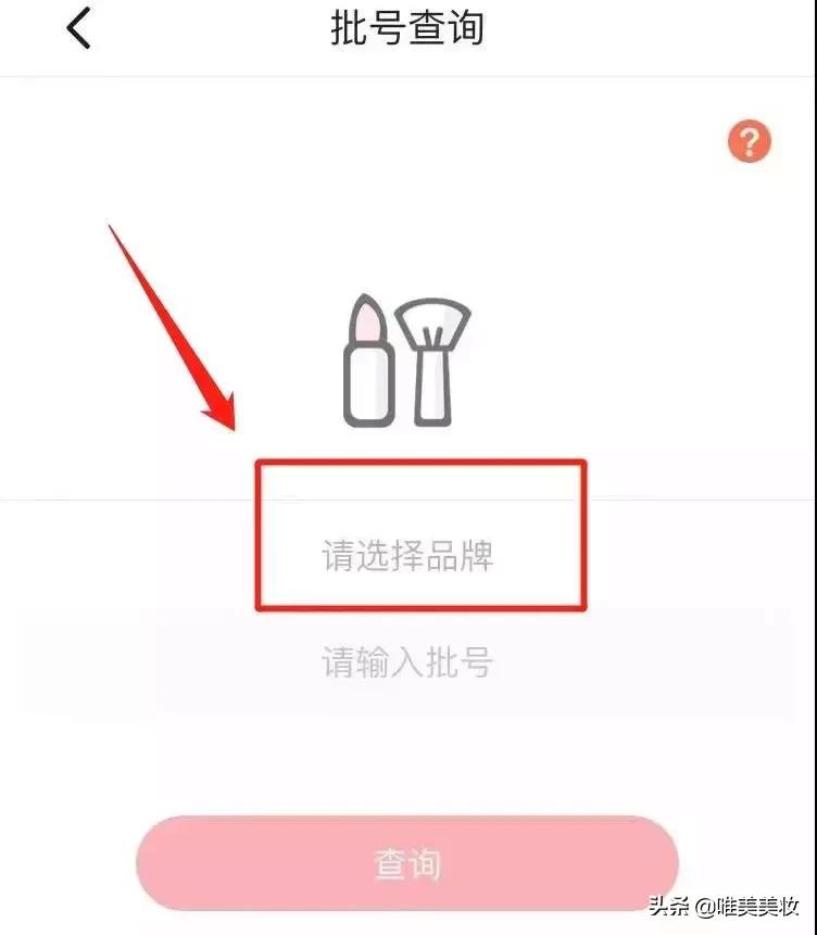 进口化妆品查询不到批号是假货吗,新手刚学化妆要买的东西