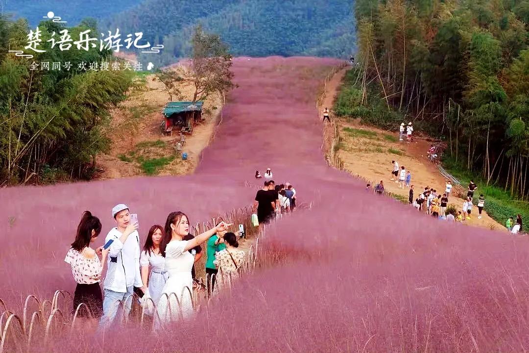 宁波四明山最美古村,宁波又一古镇走红景色不输姑苏