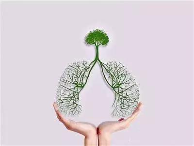 来测测你的肺健康,测一下你的肺是否健康