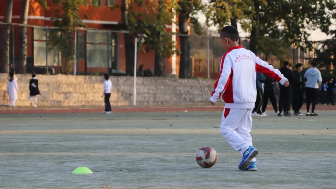 东方红小学兴趣班,北京东方红学校特色课程