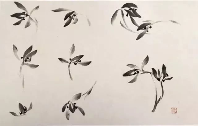 水墨怎么画兰花最好看,如何画兰花大全图片