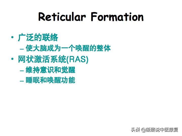中枢神经系统断层解剖讲解,中枢神经3d解剖动画